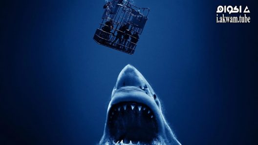 مشاهدة فيلم Open Water 3 Cage Dive 2017 مترجم