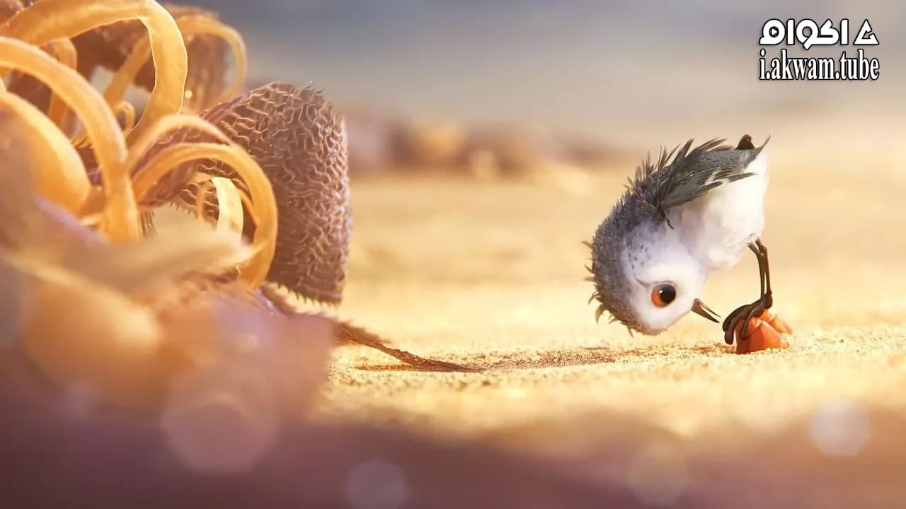 مشاهدة فيلم Piper 2016 مترجم