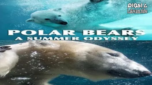 مشاهدة فيلم Polar Bears: A Summer Odyssey 2012 مترجم