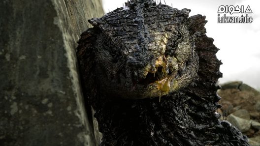 مشاهدة فيلم Rakka 2017 مترجم