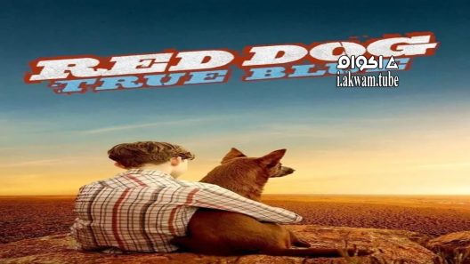 مشاهدة فيلم Red Dog: True Blue 2016 مترجم