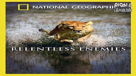 مشاهدة فيلم Relentless Enemies 2006 مترجم