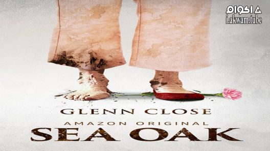 مشاهدة فيلم Sea Oak 2017 مترجم