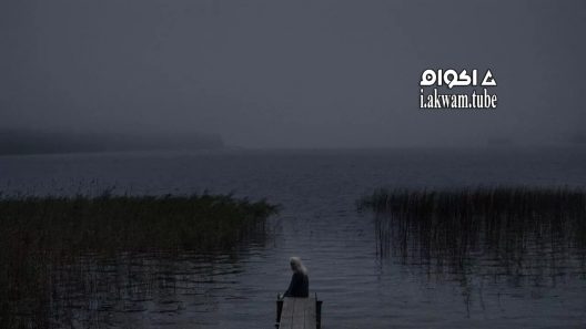 مشاهدة فيلم Shelley 2016 مترجم