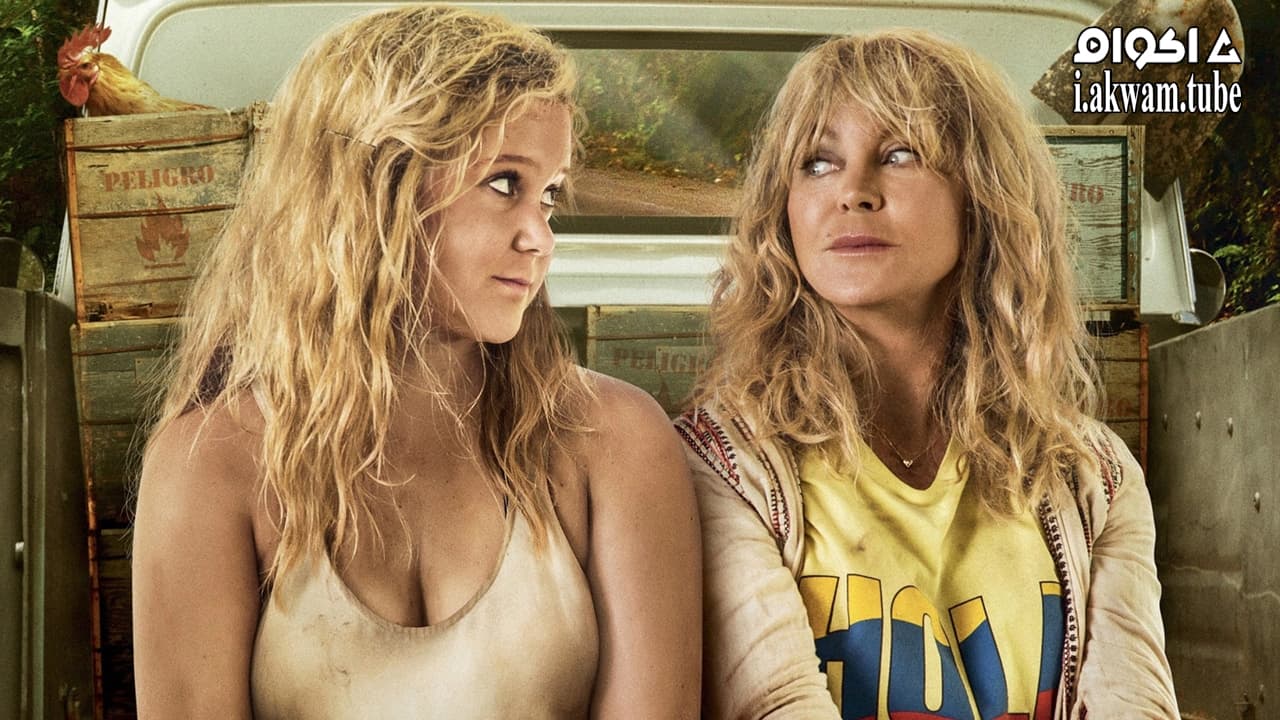 مشاهدة فيلم Snatched 2017 مترجم