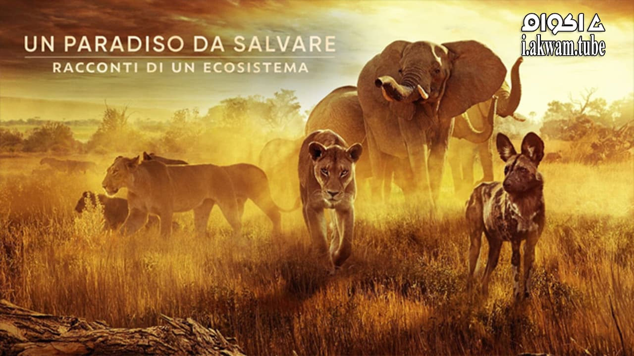 مشاهدة فيلم Surviving Paradise A Family Tale 2022 مترجم