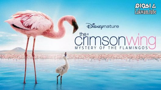 مشاهدة فيلم The Crimson Wing: Mystery of the Flamingos 2008 مترجم