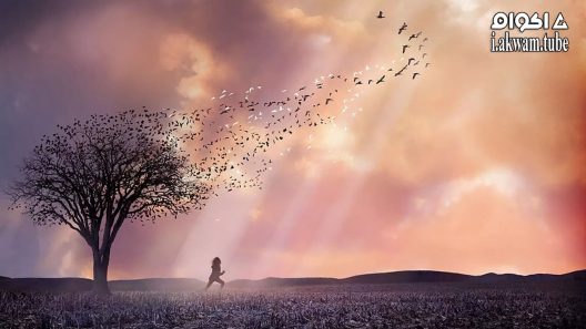 مشاهدة فيلم The Lovely Bones 2009 مترجم