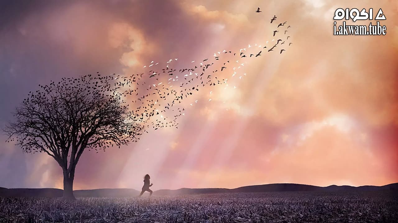 مشاهدة فيلم The Lovely Bones 2009 مترجم