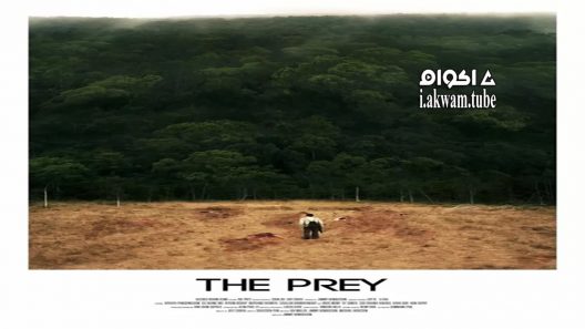 مشاهدة فيلم The Prey 2018 مترجم