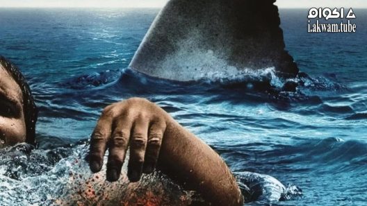 مشاهدة فيلم The Reef 2010 مترجم