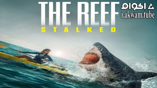 مشاهدة فيلم The Reef: Stalked 2022 مترجم