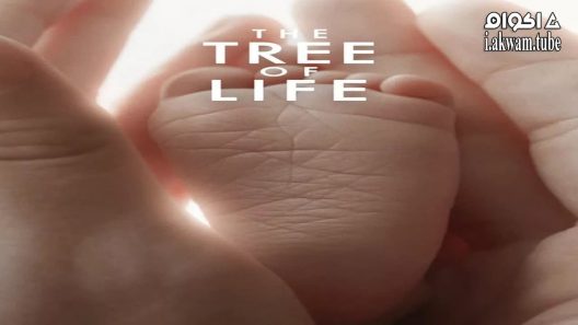 مشاهدة فيلم The Tree of Life 2011 مترجم