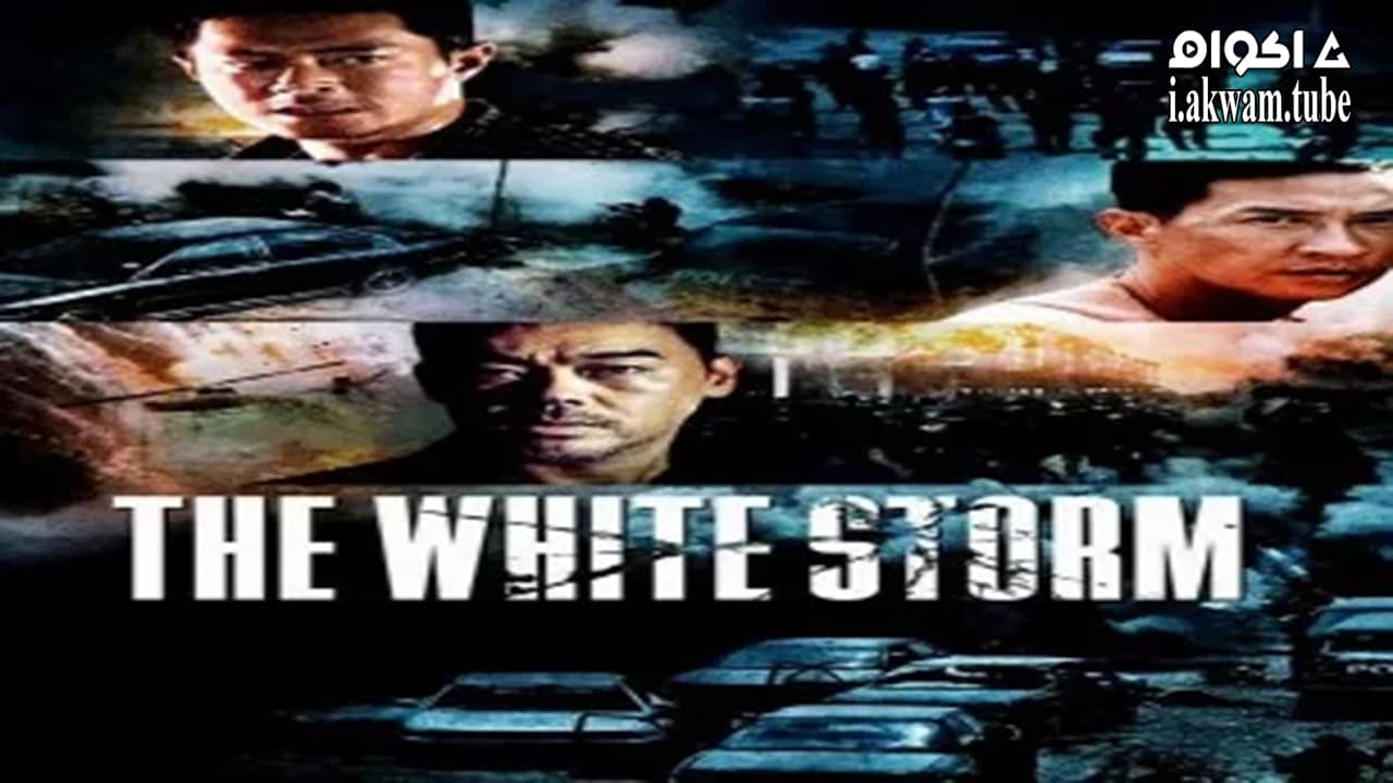 مشاهدة فيلم The White Storm 2013 مترجم