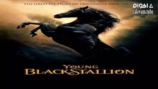 مشاهدة فيلم Young Black Stallion 2003 مترجم