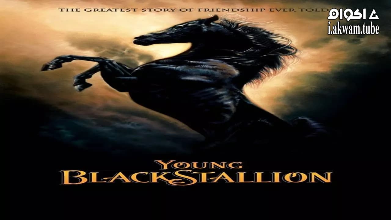 مشاهدة فيلم Young Black Stallion 2003 مترجم