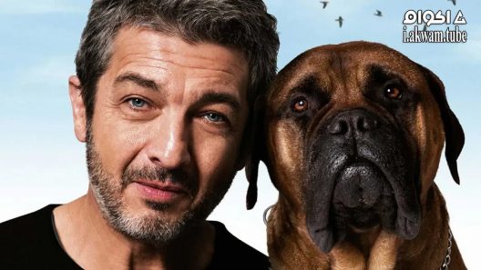 مشاهدة فيلم Truman 2015 مترجم