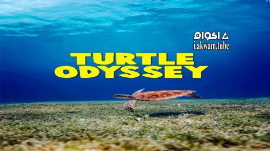 مشاهدة فيلم Turtle Odyssey 2018 مترجم