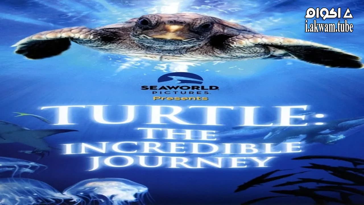 مشاهدة فيلم Turtle: The Incredible Journey 2009 مترجم
