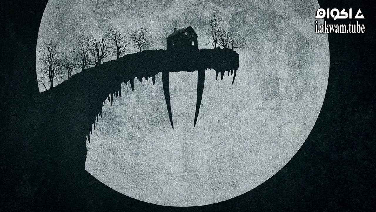 مشاهدة فيلم Tusk 2014 مترجم