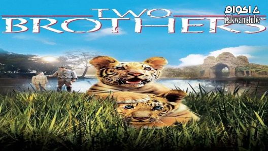 مشاهدة فيلم Two Brothers 2004 مترجم