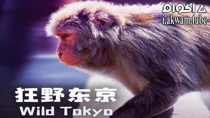 مشاهدة فيلم Wild Tokyo 2020 مترجم