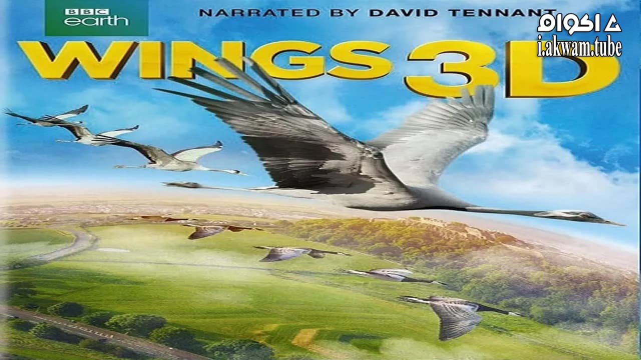 مشاهدة فيلم Wings 2014 مترجم