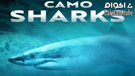 مشاهدة فيلم Camo Sharks 2022 مترجم