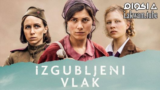 مشاهدة فيلم Lost Transport 2022 مترجم