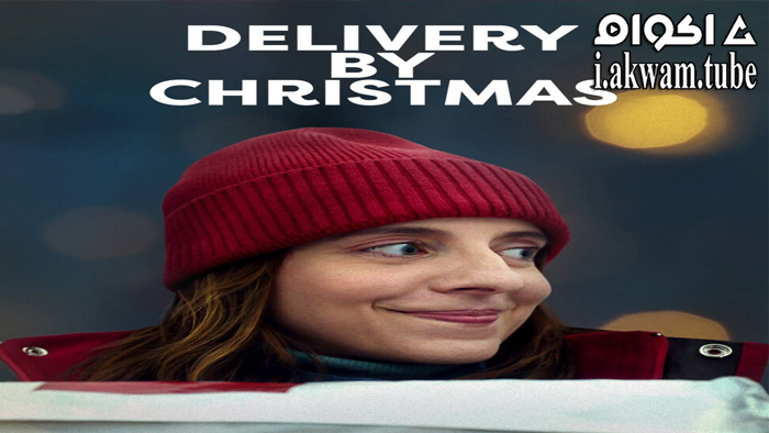 مشاهدة فيلم Delivery by Christmas 2022 مترجم