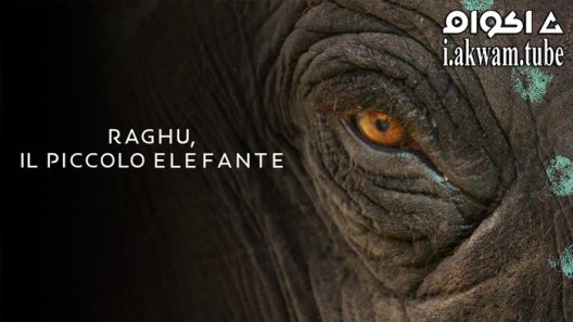 مشاهدة فيلم The Elephant Whisperers 2022 مترجم