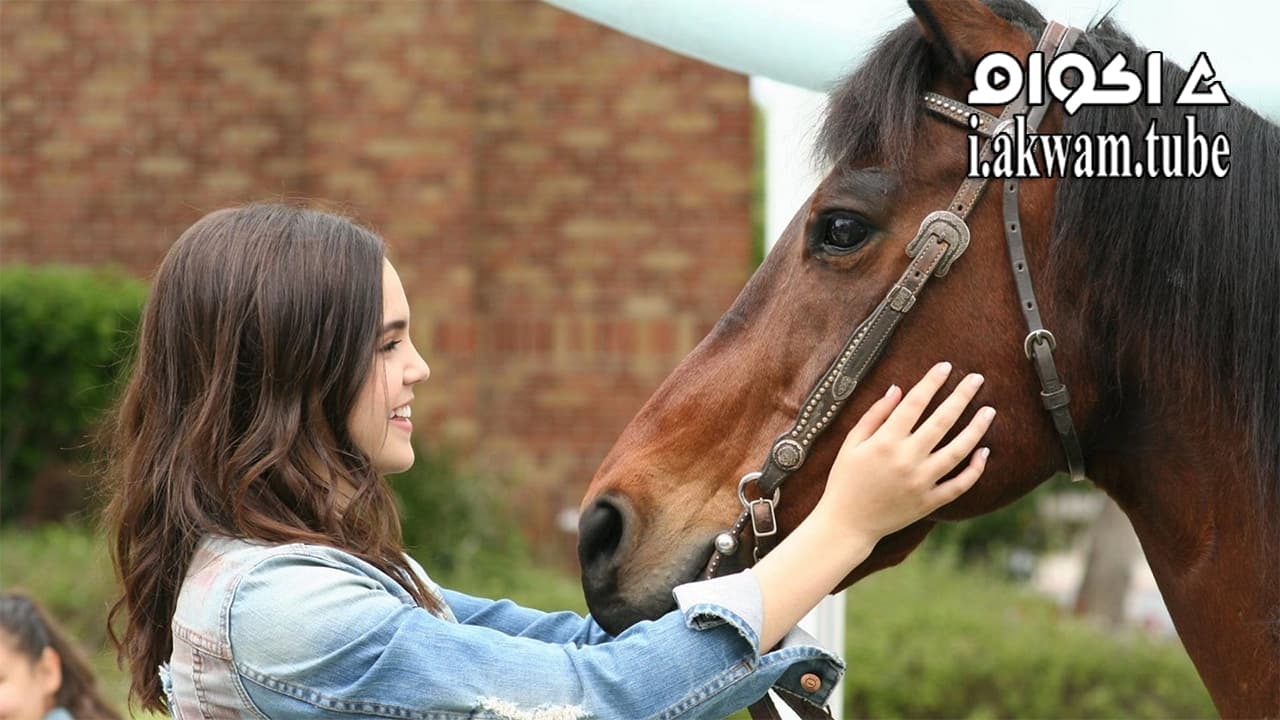 مشاهدة فيلم A Cowgirls Story 2017 مترجم