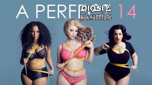مشاهدة فيلم A Perfect 14 2018 مترجم