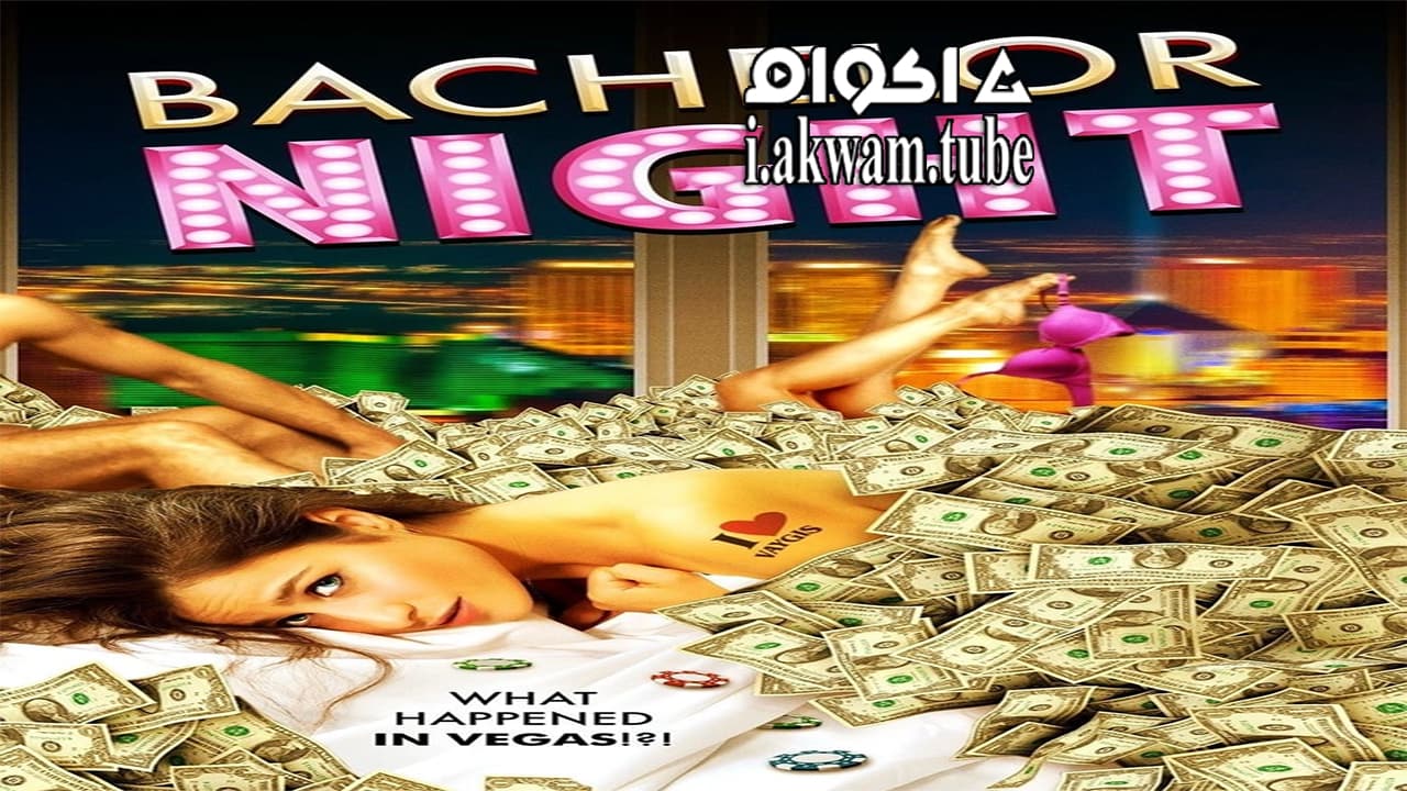 مشاهدة فيلم Bachelor Night 2014 مترجم