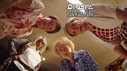 مشاهدة فيلم Bad Grandmas 2017 مترجم