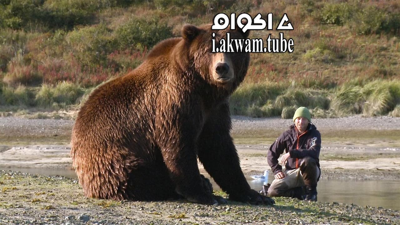 مشاهدة فيلم Bear Like 2019 مترجم