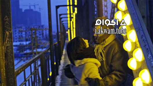 مشاهدة فيلم Black Coal Thin Ice 2014 مترجم