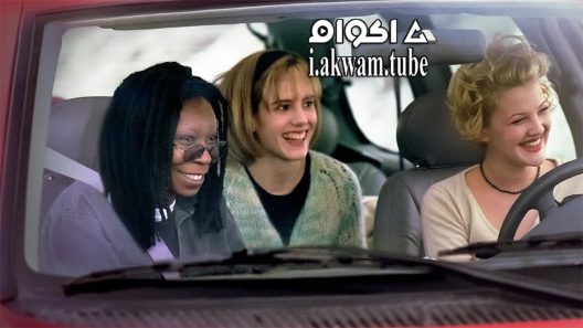 مشاهدة فيلم Boys On the Side 1995 مترجم