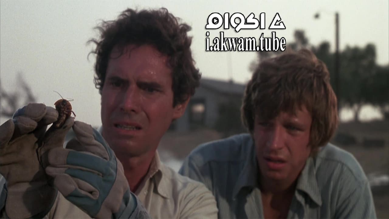 مشاهدة فيلم Bug 1975 مترجم