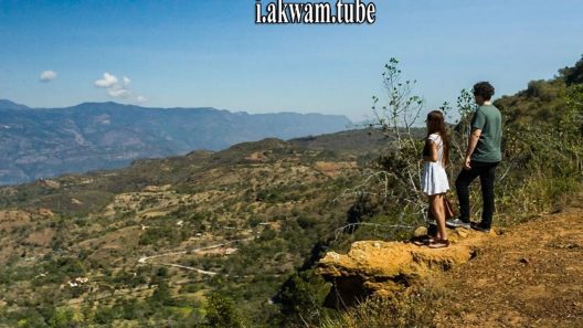 مشاهدة فيلم Coffee With Ana 2017 مترجم