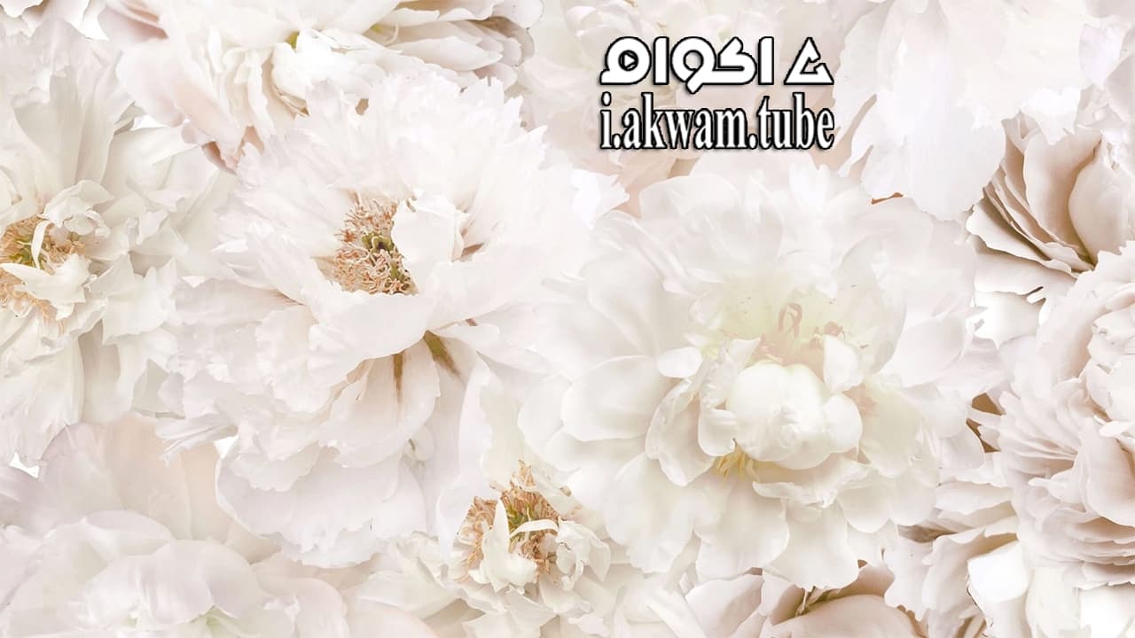 مشاهدة فيلم Deadly Vows 2017 مترجم