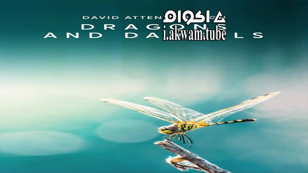 مشاهدة فيلم Dragons and Damsels 2020 مترجم