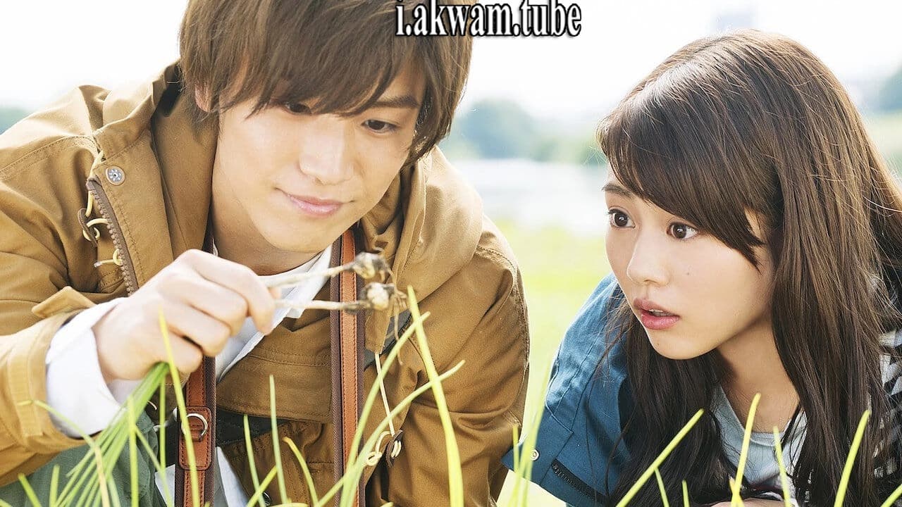 مشاهدة فيلم Evergreen Love 2016 مترجم