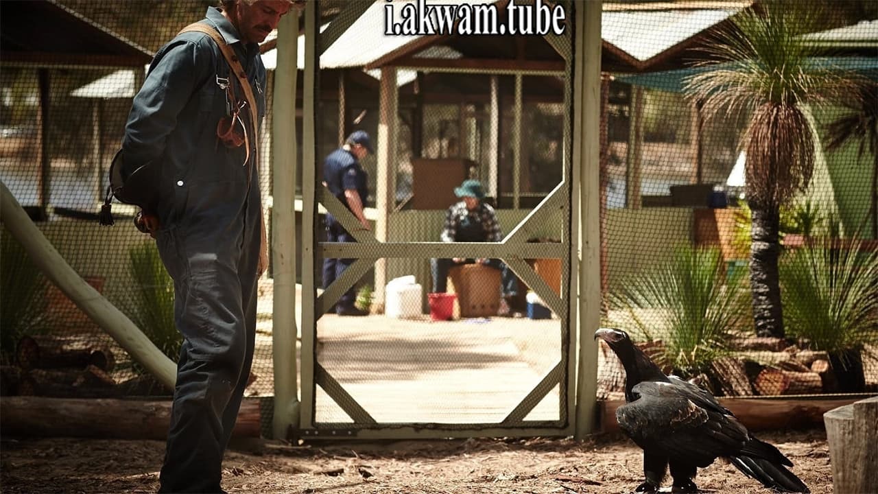 مشاهدة فيلم Healing 2014 مترجم