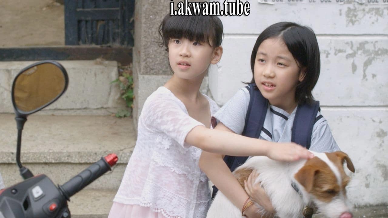 مشاهدة فيلم How to Steal a Dog 2014 مترجم