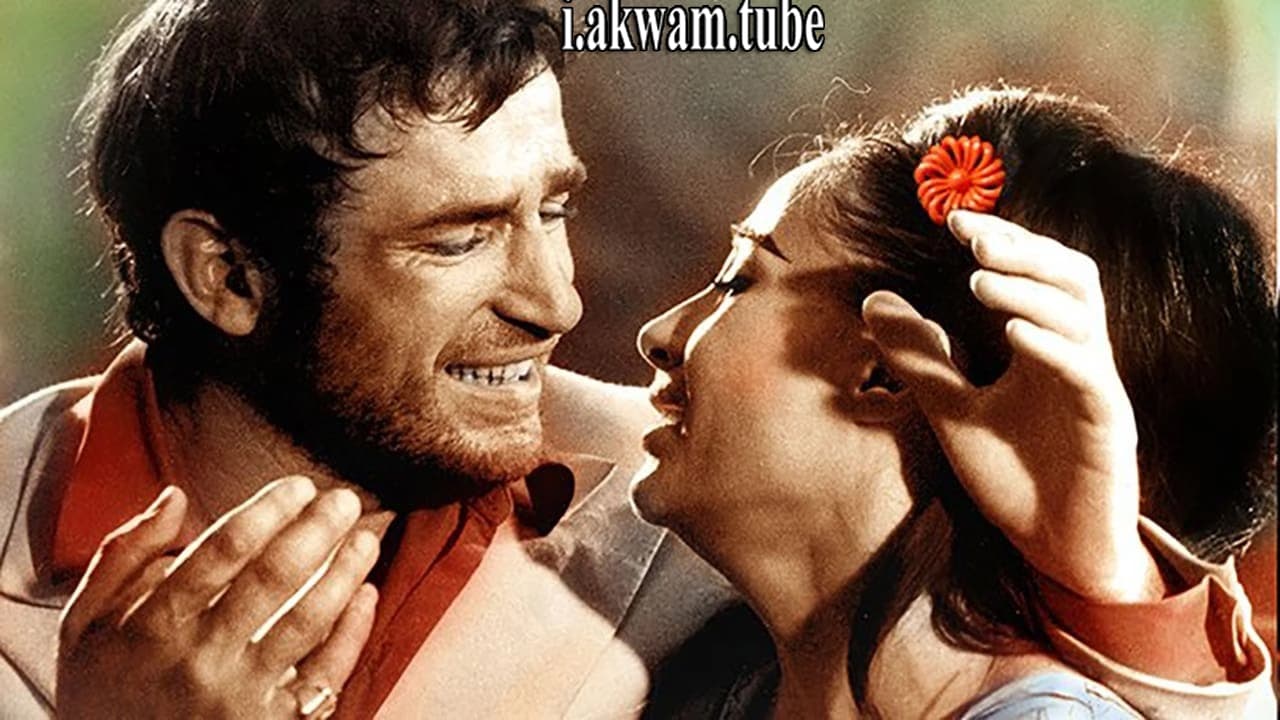 مشاهدة فيلم I Even Met Happy Gypsies 1967 مترجم