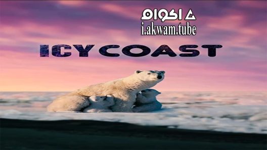 مشاهدة فيلم Icy Coast 2020 مترجم