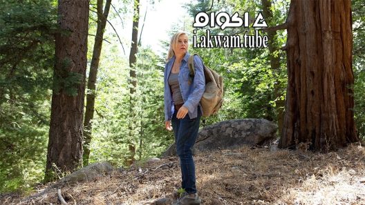 مشاهدة فيلم In the Forest 2022 مترجم