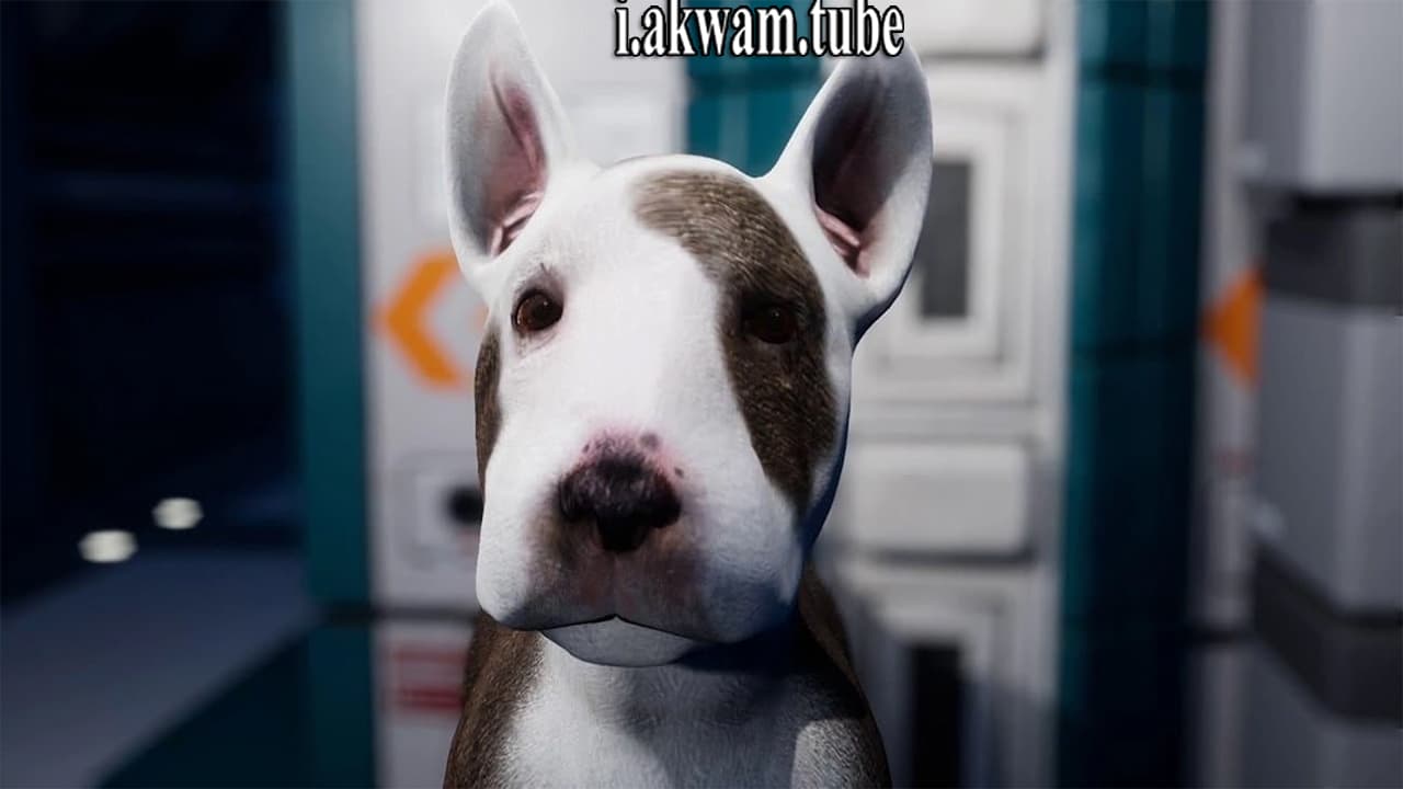 مشاهدة فيلم Jurassic Bark 2018 مترجم