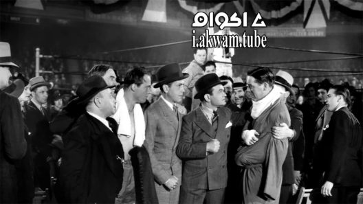 مشاهدة فيلم Kid Galahad 1937 مترجم